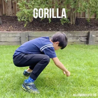 Gorilla Walk